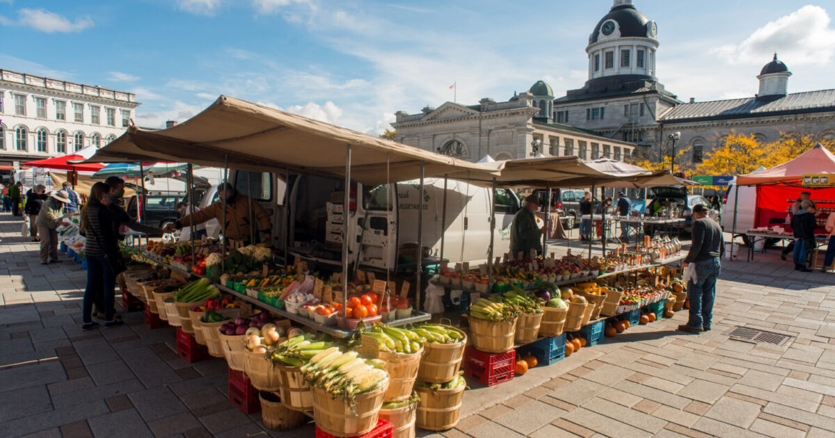 Kingston Public Market stalls in front of Kingston City Hall at Springer Market Square — an 8-minute walk from The Colby House, Dwell Aparthotels, Kingston Ontario